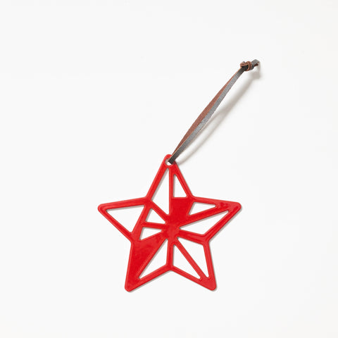 Star Geo Hanging Decoration